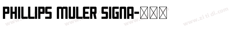 Phillips Muler Signa字体转换
